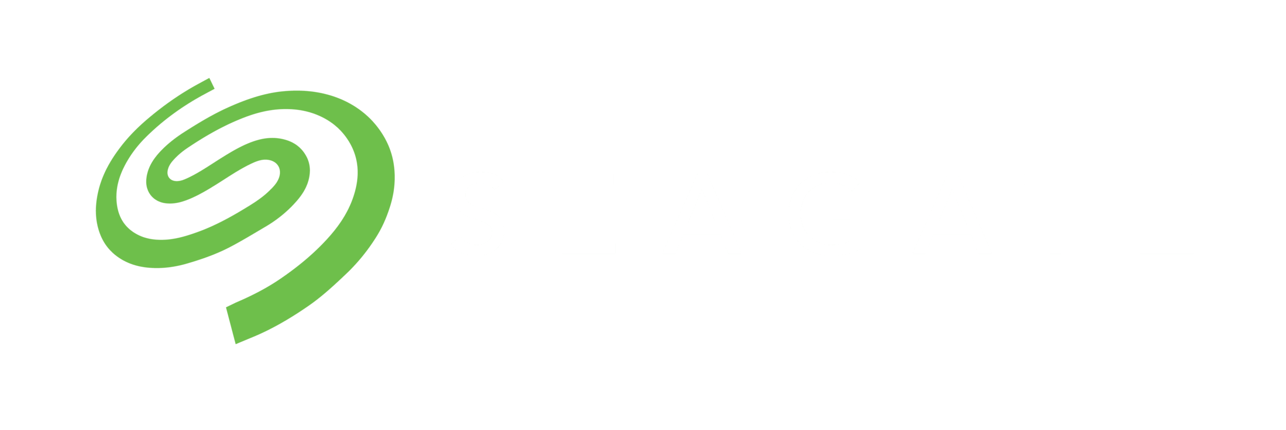 seagate_2c_horizontal_neg